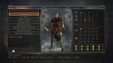 best gift ds2